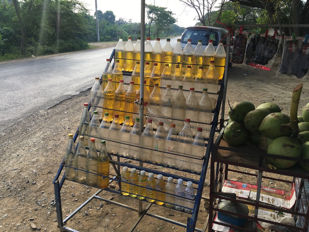 A gas station, also selling coconuts and riding gloves