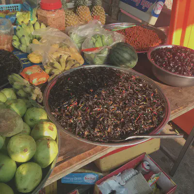 Snacks at ភ្នំសំពៅ Phnom Sampeau 762m/2500ft, also spelled Phnom Sampov