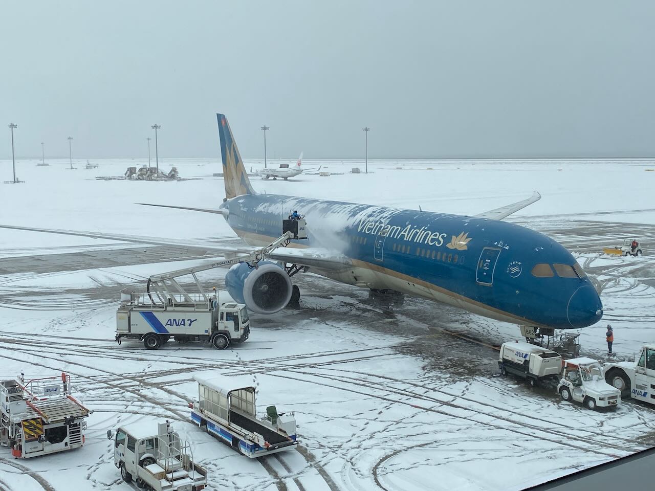 Vestergaard Elephant BETA deicing a neighboring plane