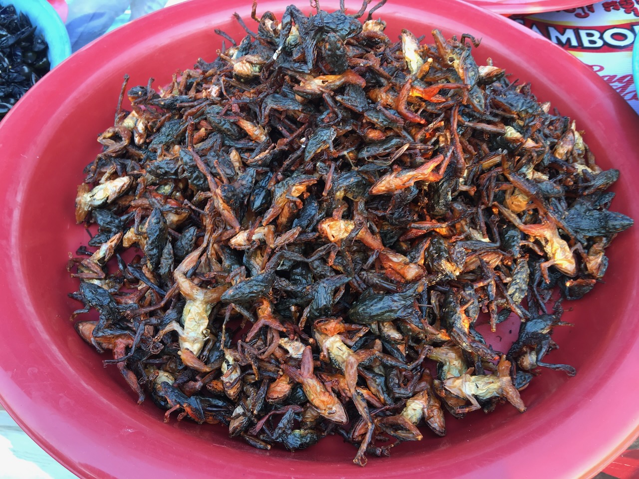 Snacks at the fair.