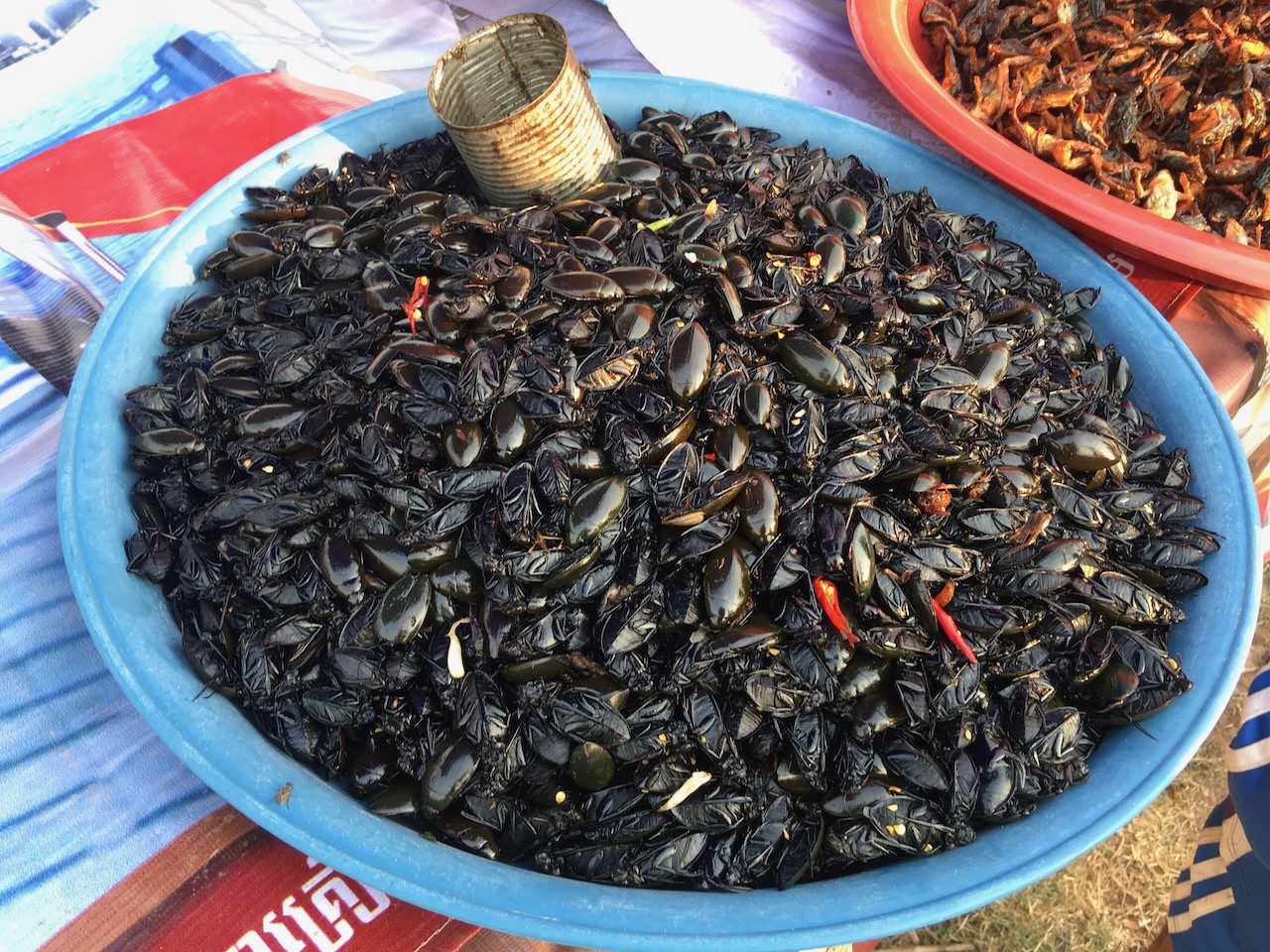 Snacks at the fair.